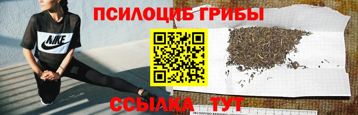Галлюциногенные грибы ЛСД Кохма