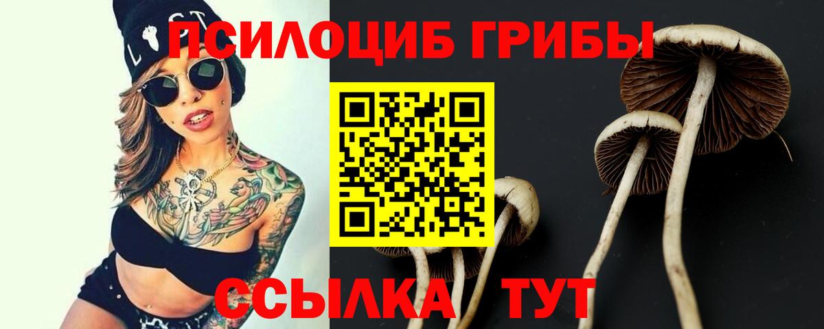 Галлюциногенные грибы Magic Shrooms  Вход с VPN  Галлюциногенные грибы Psilocybe  Кохма 